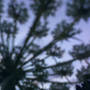 Meet your Posher, Scarlet